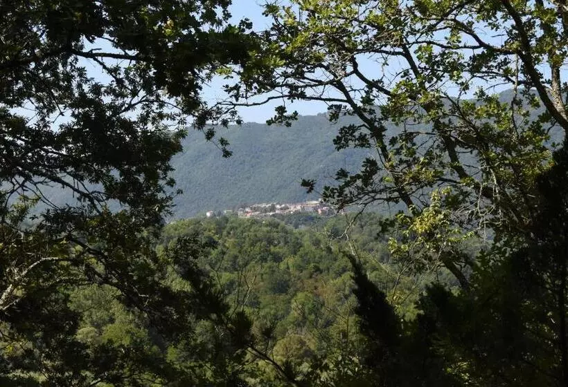 Aamiaismajoitus (B&B) Il Castello Nel Bosco