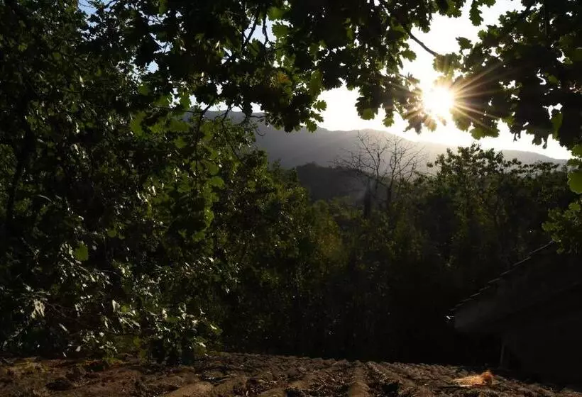 Aamiaismajoitus (B&B) Il Castello Nel Bosco