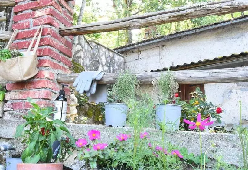 Aamiaismajoitus (B&B) Il Castello Nel Bosco