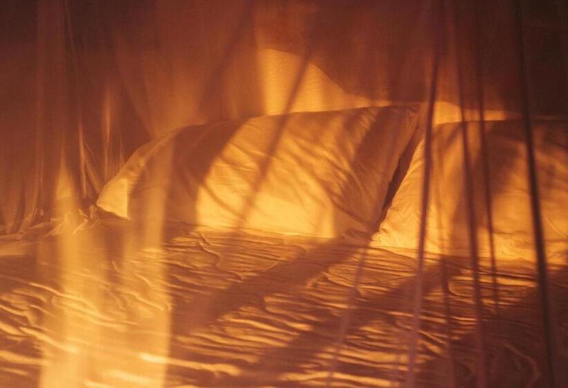 ホテル Boutique At Cuatunalco