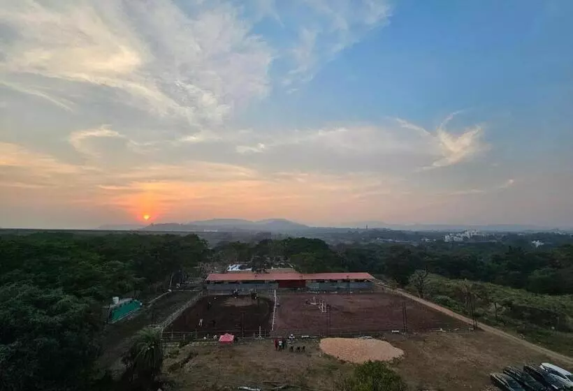 Hotel Forest View