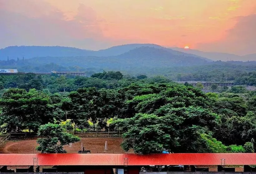 Hotel Forest View