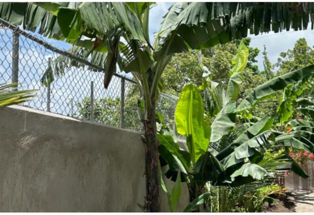 پانسیون Bri G Da Ocean View Suite