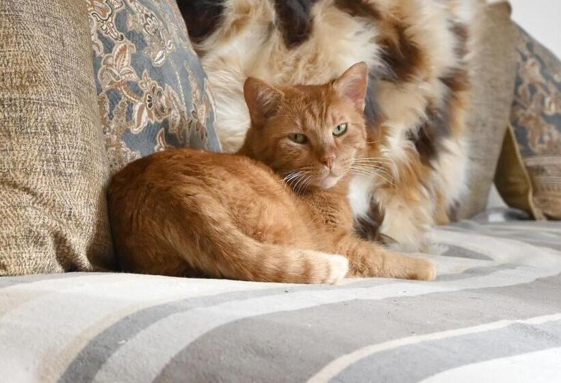 Villa Gloriette   Boutiqueappartements Am Wörthersee