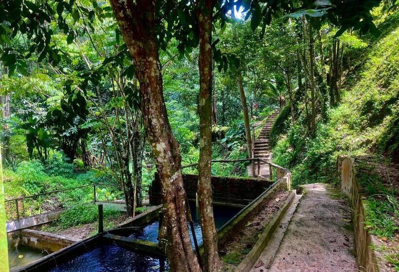 호스텔 Nuluhon Garden Dormitorio