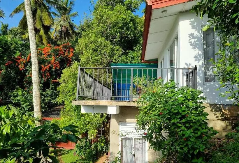 ユースホステル Squirrel S Nest