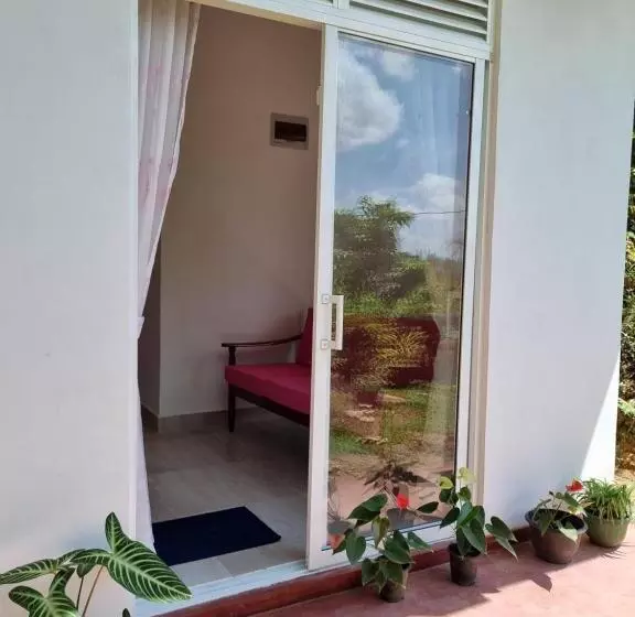 ユースホステル Squirrel S Nest