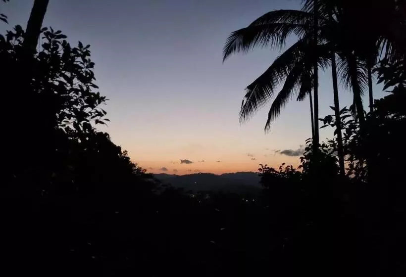 ユースホステル Squirrel S Nest