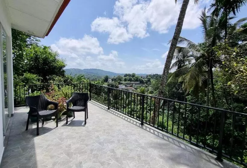 ユースホステル Squirrel S Nest