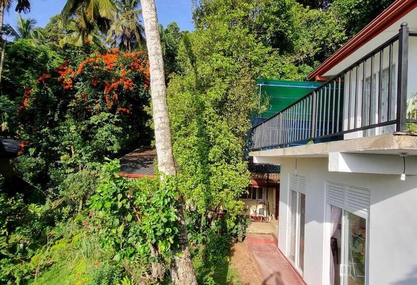 Hostel Squirrel S Nest