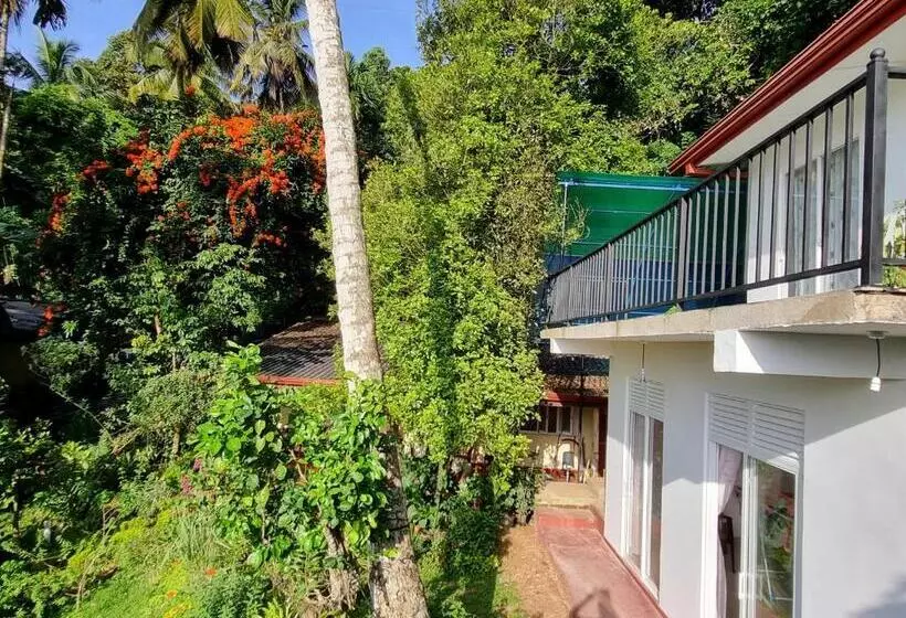 ユースホステル Squirrel S Nest