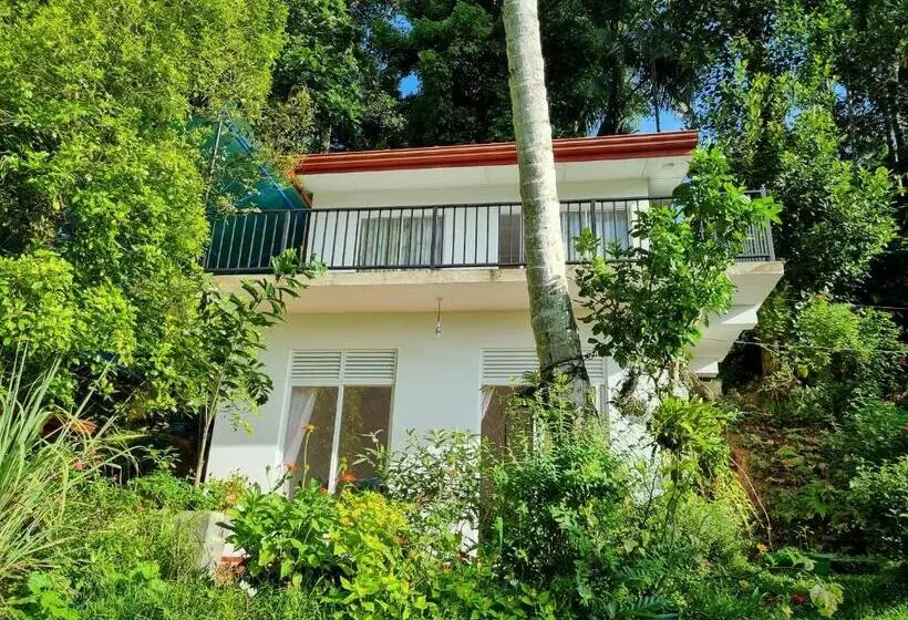 ユースホステル Squirrel S Nest