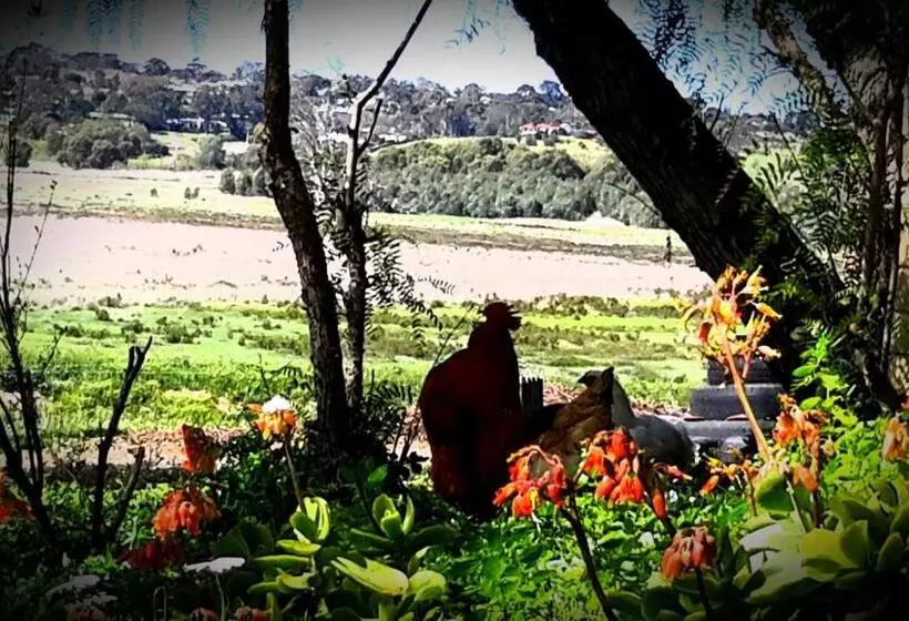 Aamiaismajoitus (B&B) A La Folly Too The Old Workshop