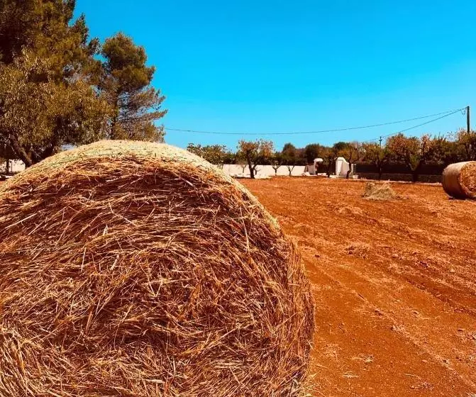 Ca Summa Agriresort