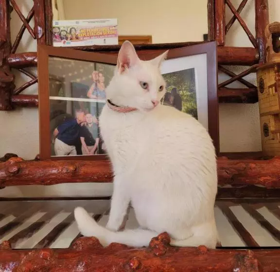 پانسیون Hostal Familiar Ulua