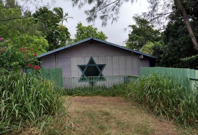 Пансион Margo S Corner