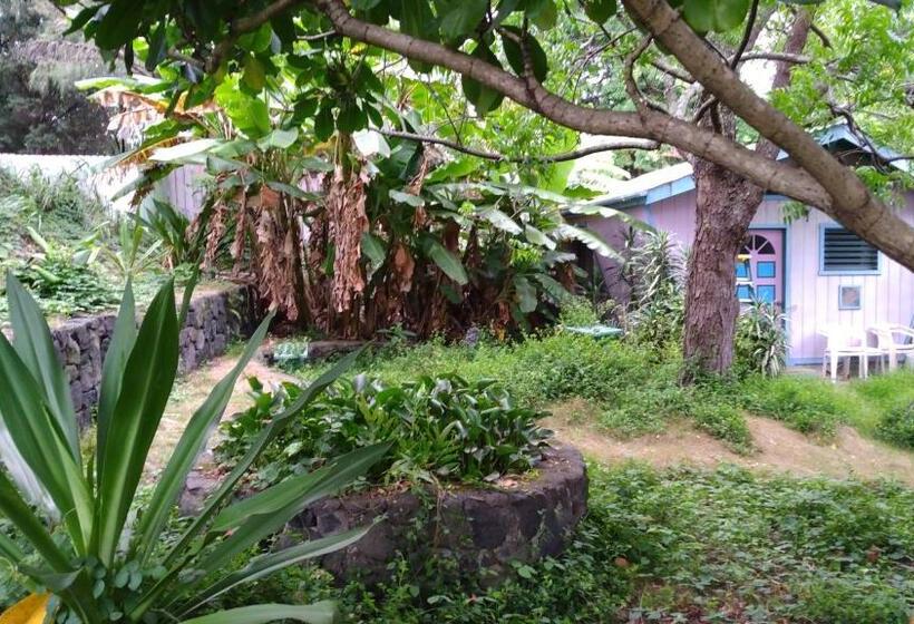 Пансион Margo S Corner