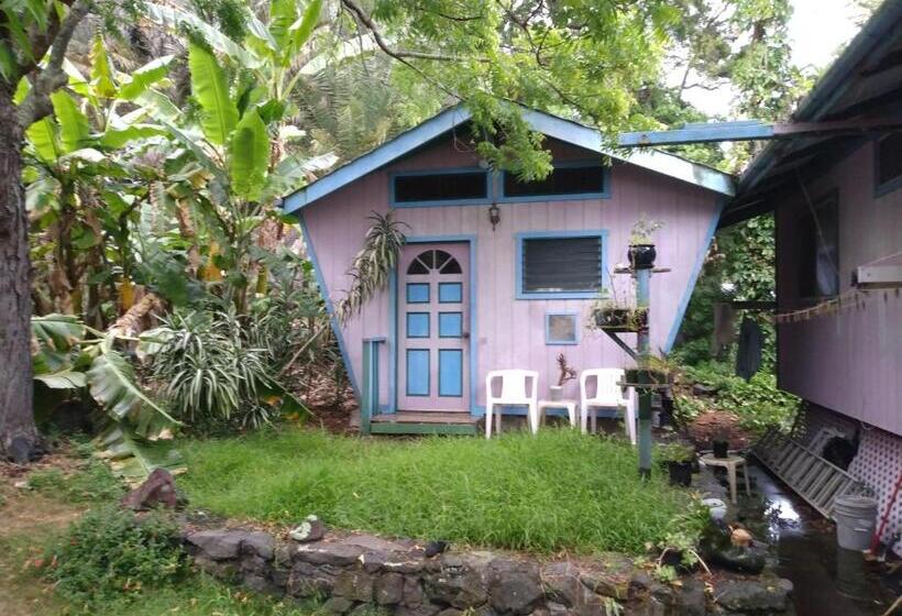 Пансион Margo S Corner