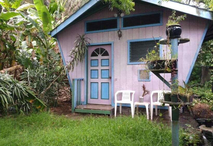 Пансион Margo S Corner