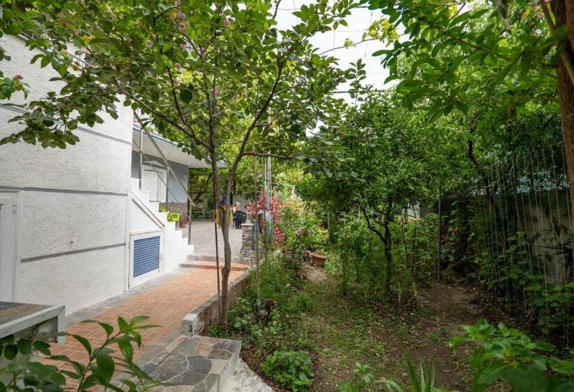 Pensjonat Zana Guesthouse