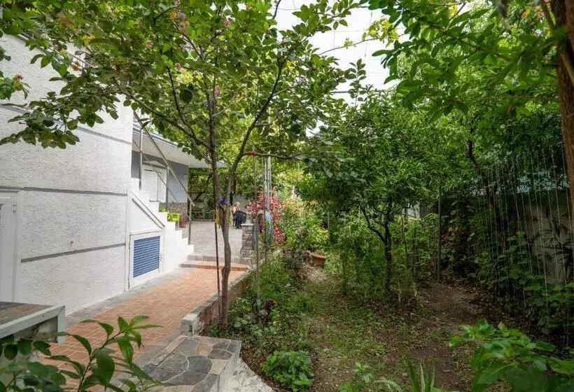 ペンション Zana Guesthouse