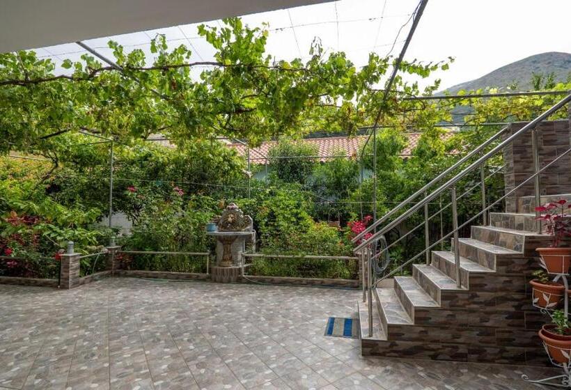 Pensjonat Zana Guesthouse