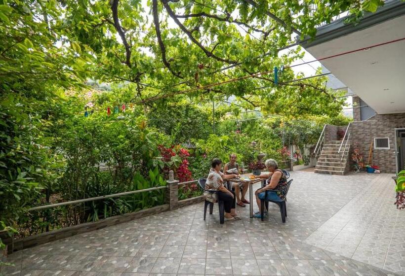 Pensjonat Zana Guesthouse