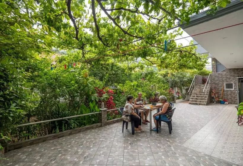 ペンション Zana Guesthouse