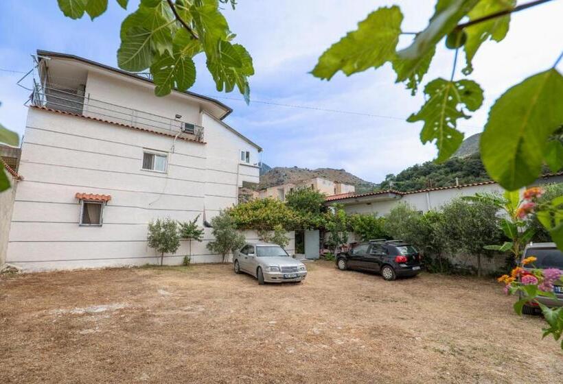 Pensjonat Zana Guesthouse