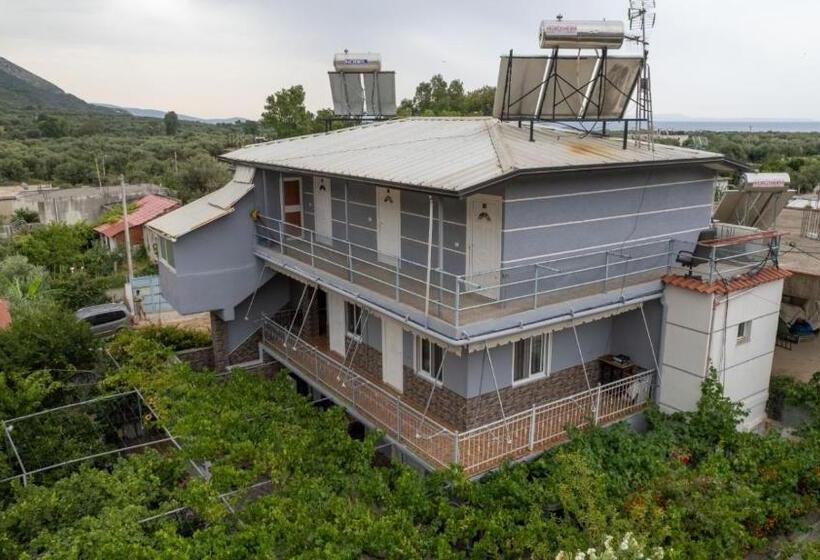 Pensjonat Zana Guesthouse