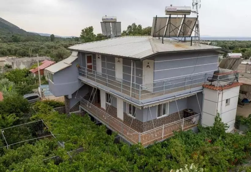 ペンション Zana Guesthouse