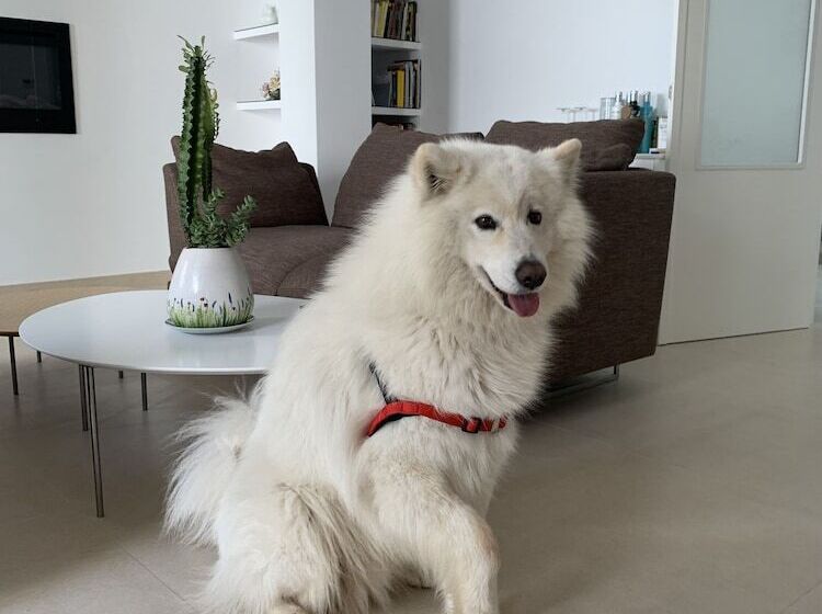 Bed and Breakfast Mardenit Hotel Boutique