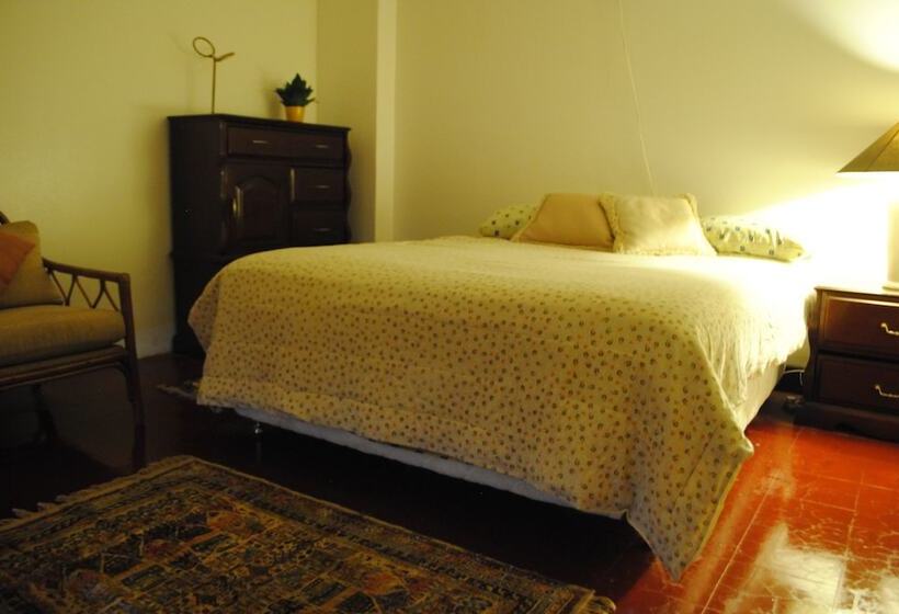 تختخواب و صبحانه Nomad Hostel