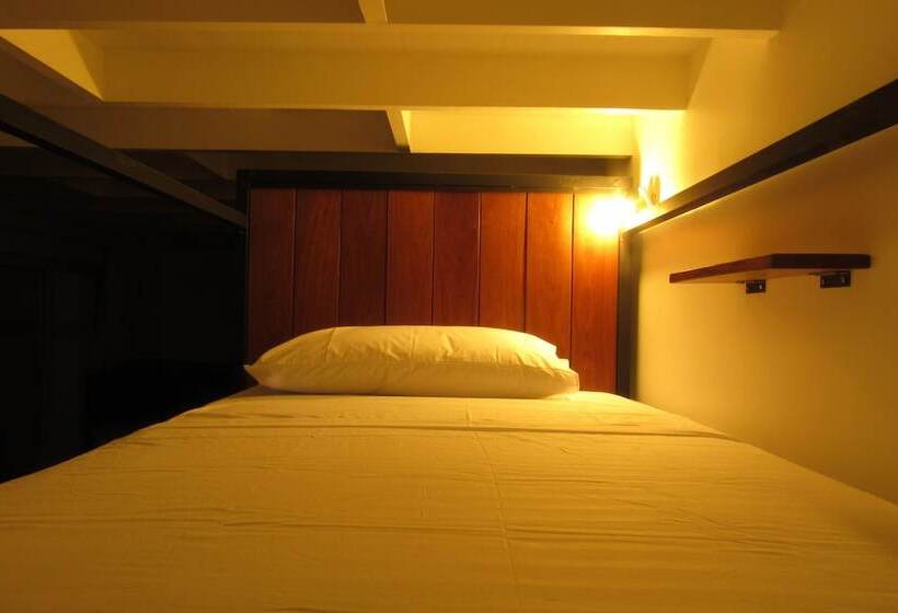 تختخواب و صبحانه Nomad Hostel