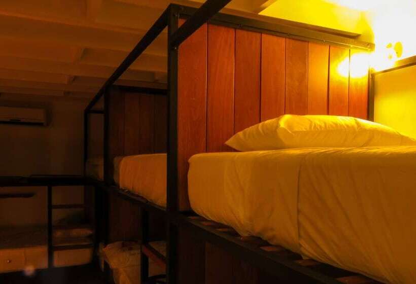 تختخواب و صبحانه Nomad Hostel