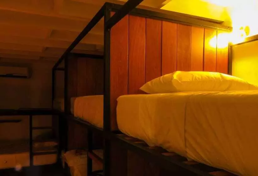 تختخواب و صبحانه Nomad Hostel