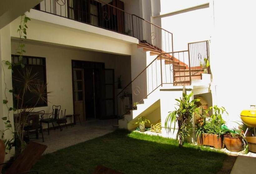 تختخواب و صبحانه Nomad Hostel