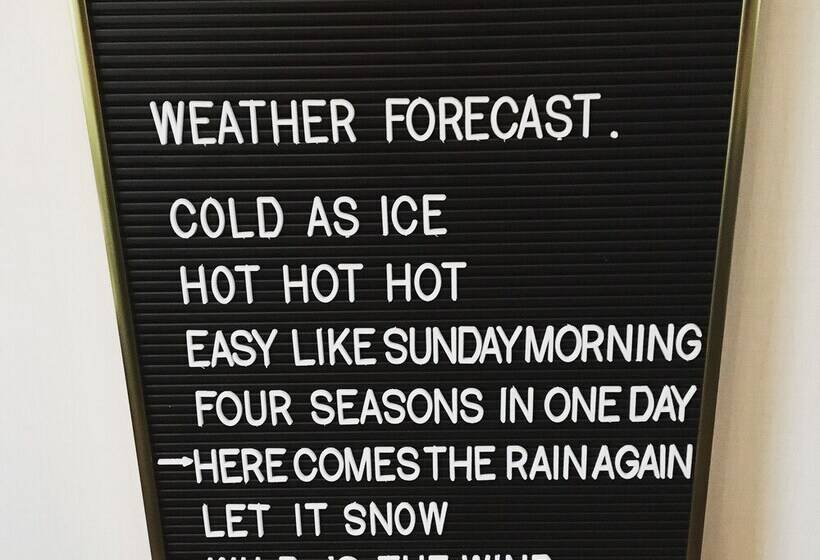 تختخواب و صبحانه Rock Lobster City Lodge