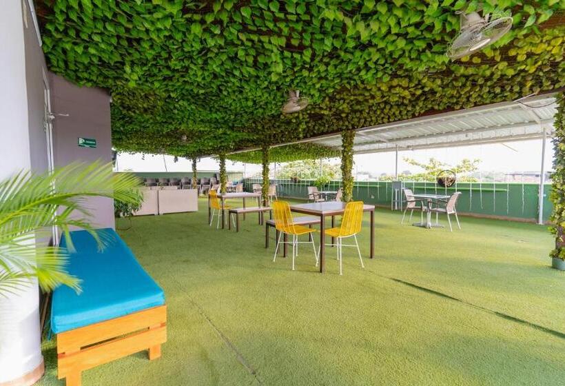 호텔 Plataneras Plaza