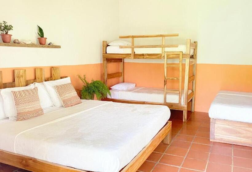 Отель Villa Coco