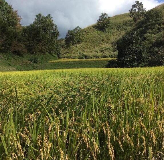 Ryokan Oogi Onsen Oogiso