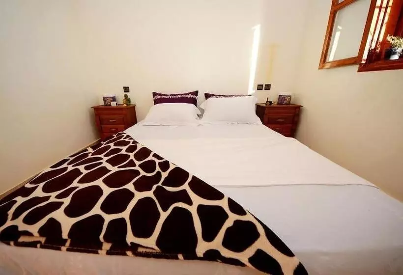Wave Rider Hostel