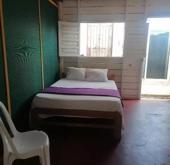 تختخواب و صبحانه Ayahuasca Hostel