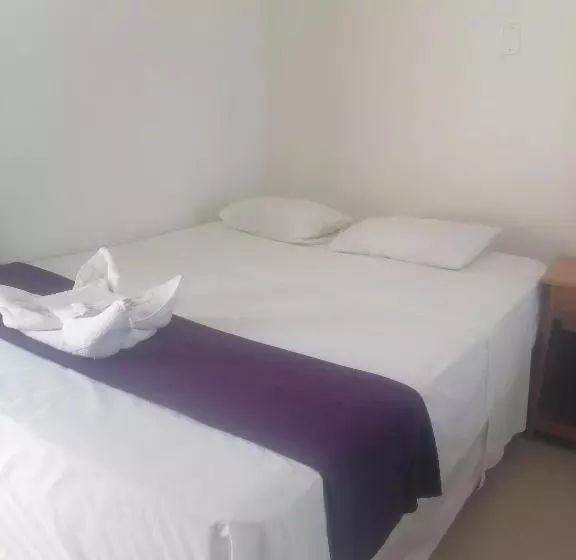 تختخواب و صبحانه Ayahuasca Hostel