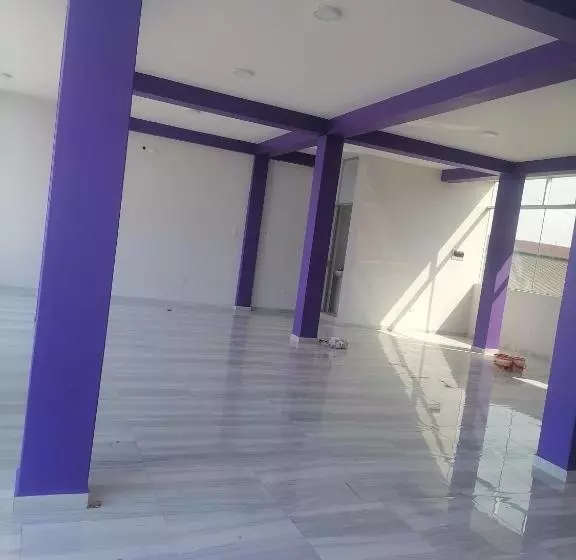 تختخواب و صبحانه Ayahuasca Hostel
