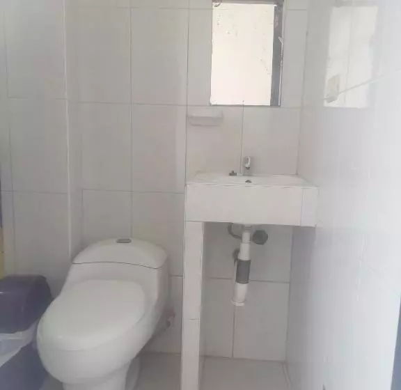 تختخواب و صبحانه Ayahuasca Hostel
