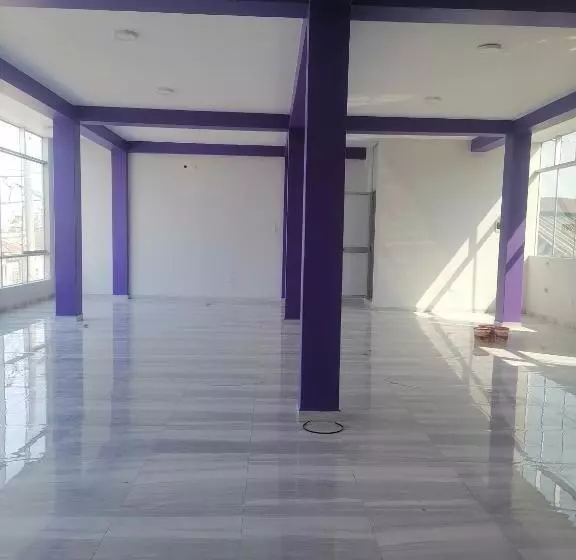 تختخواب و صبحانه Ayahuasca Hostel