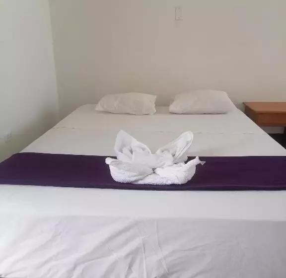 تختخواب و صبحانه Ayahuasca Hostel