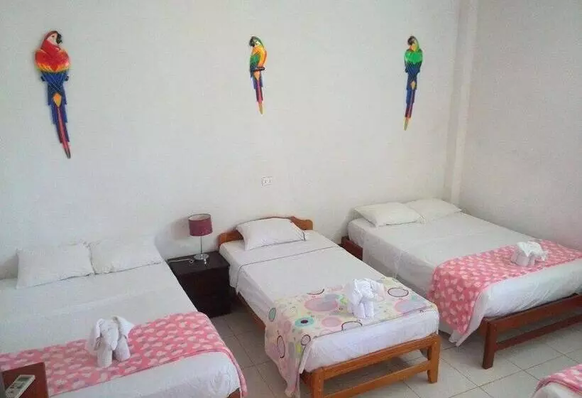 تختخواب و صبحانه Ayahuasca Hostel