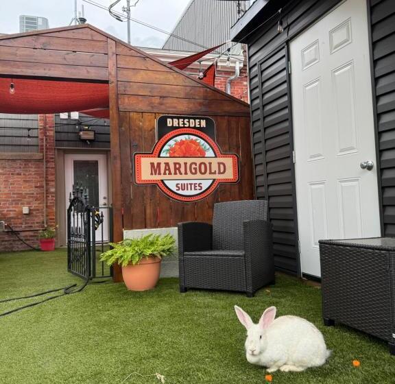 צימר Dresden Marigold Suites 1